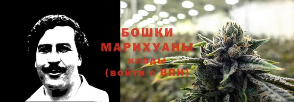 не бодяженный Гусев