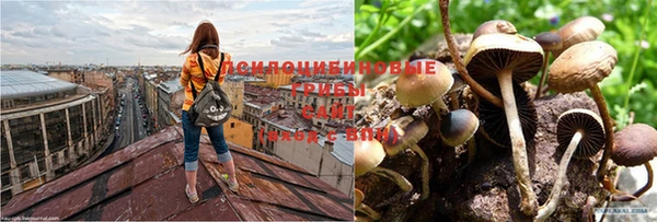 кокаин перу Бородино