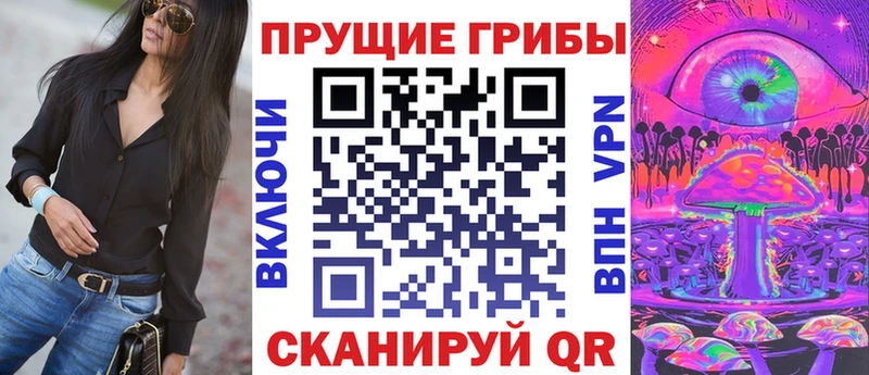 ссылка на мегу tor  где купить   Дигора  Галлюциногенные грибы Cubensis 